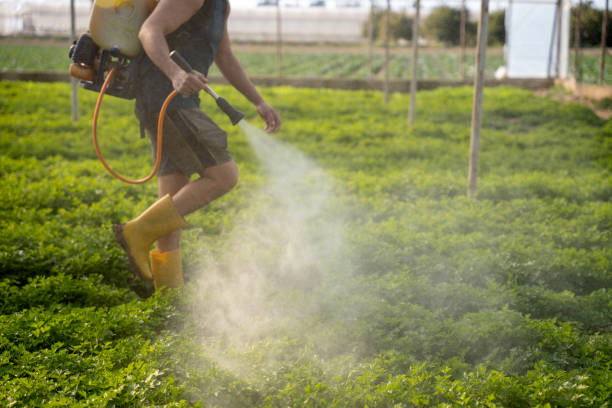 Best Pest Prevention Services  in Prceton, IN